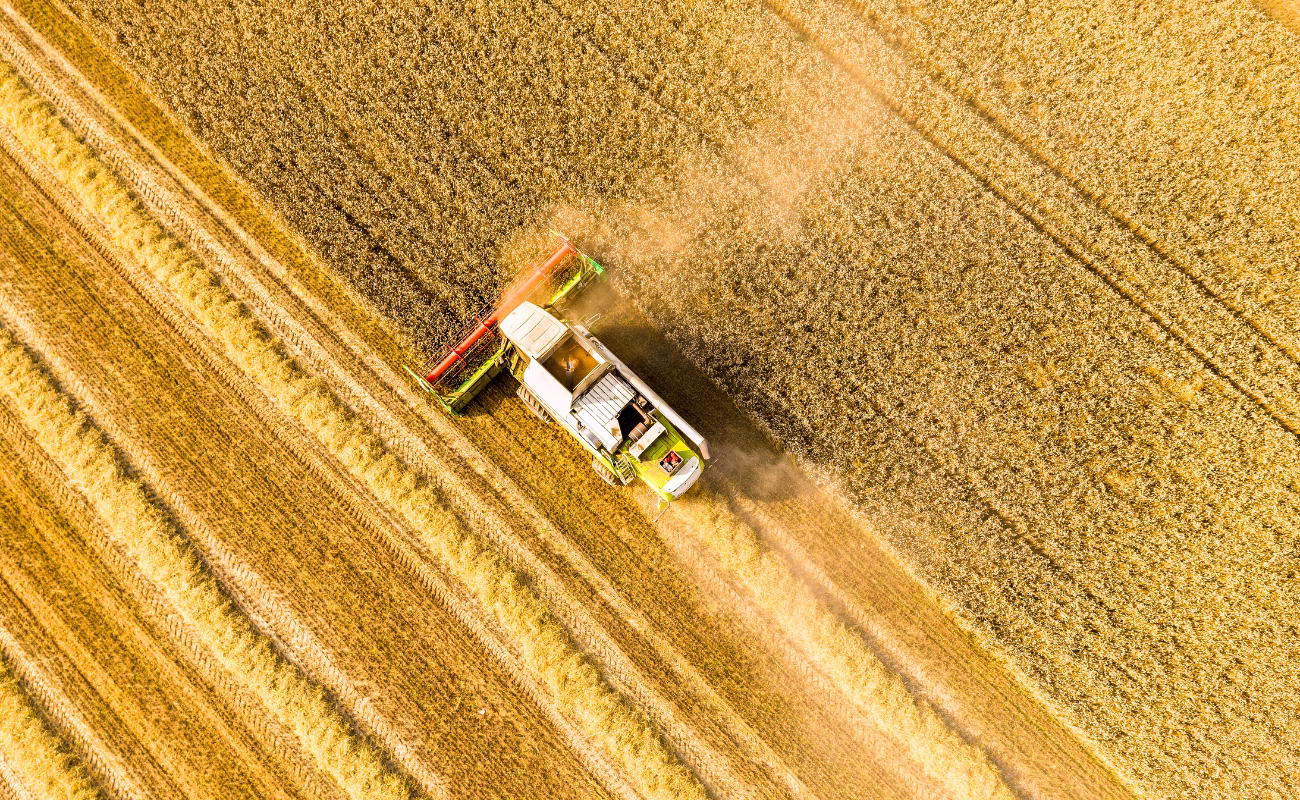 insicurezza alimentare donne campo