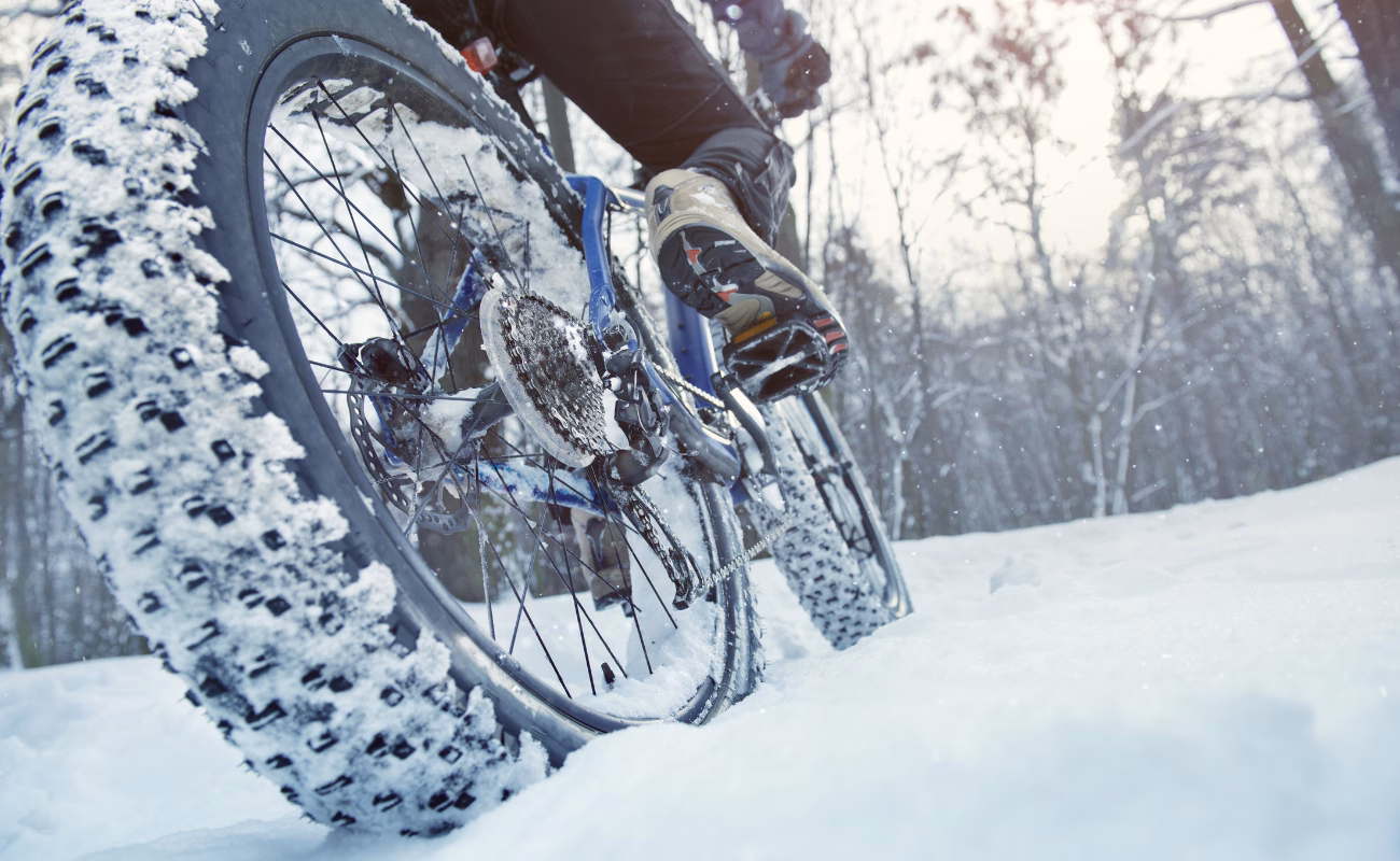 bici inverno gomme