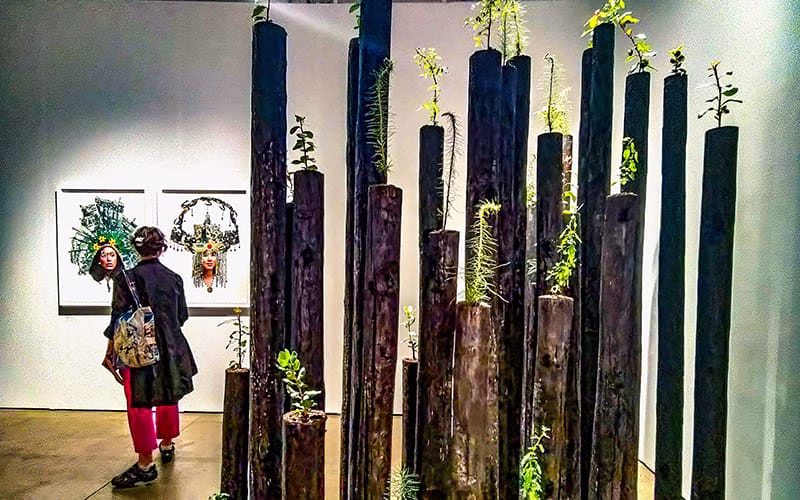 arte circolarità _ expo chicago piante