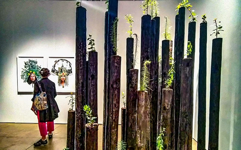 arte circolarità _ expo chicago piante
