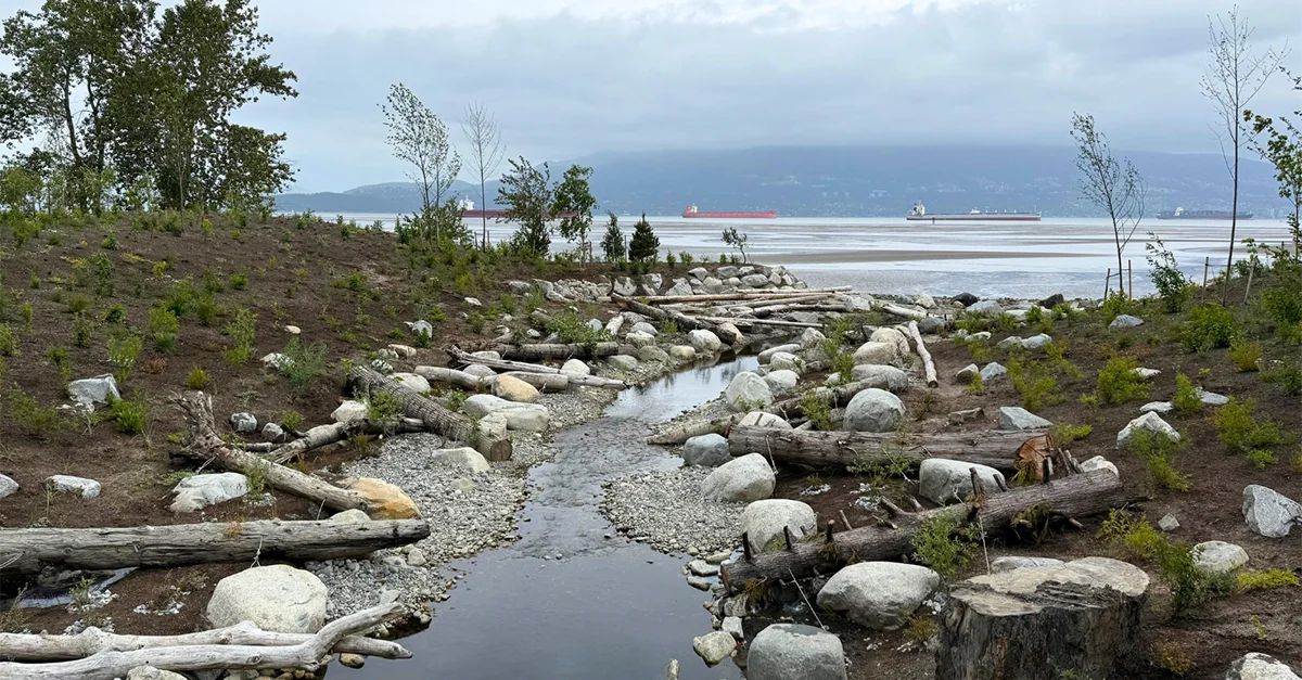 Esempio di Daylighted Creek nella zona di Vancouver, BC
