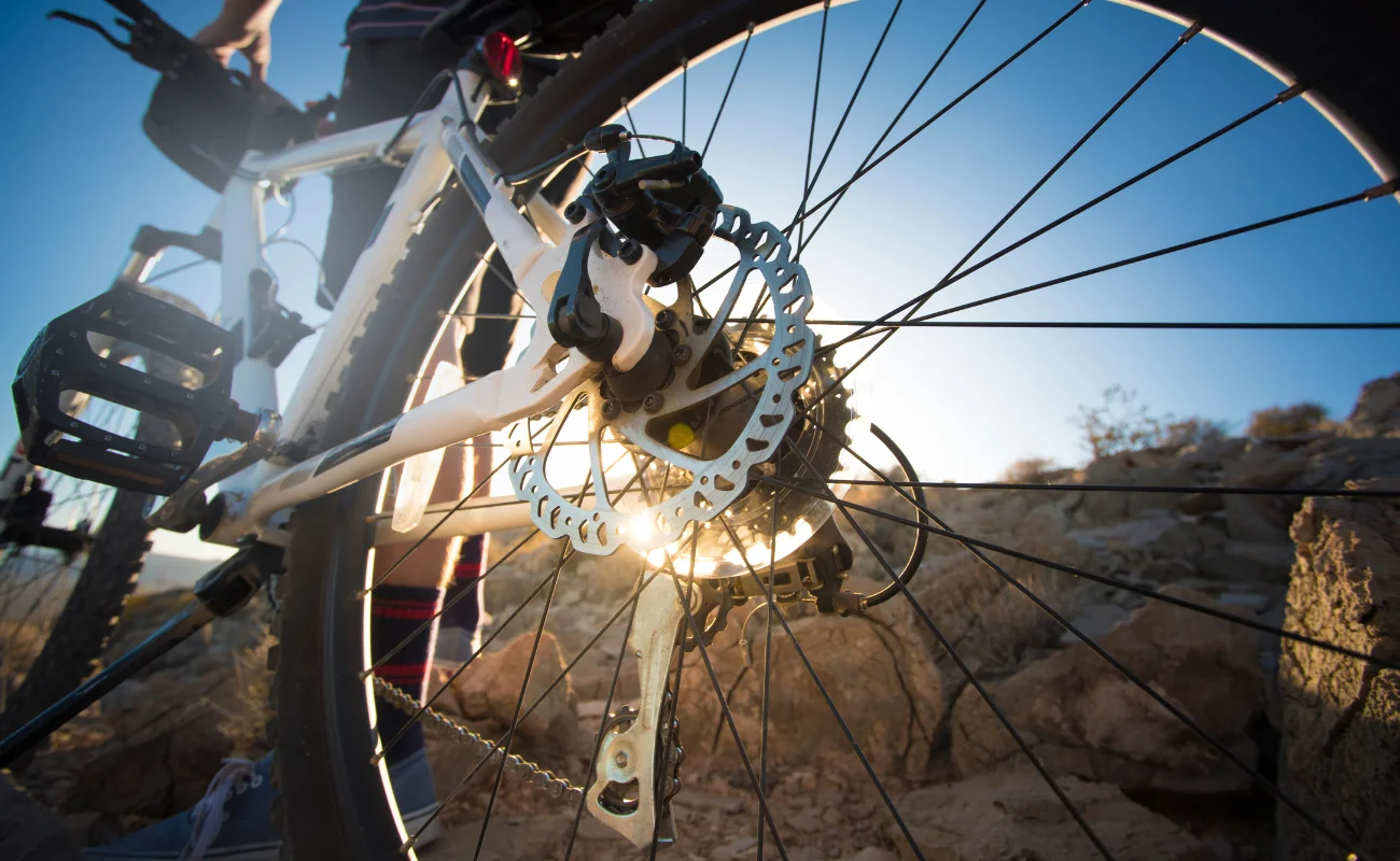 bicicletta 1