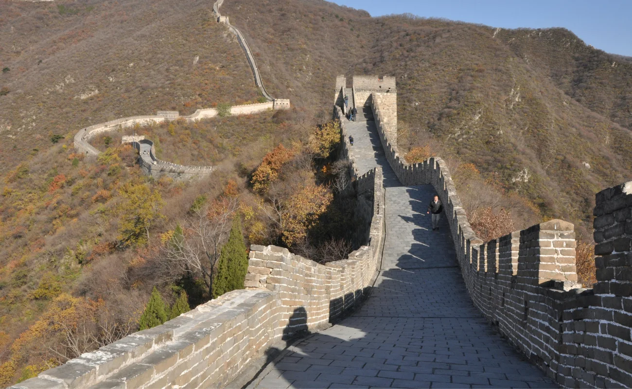 cina 1