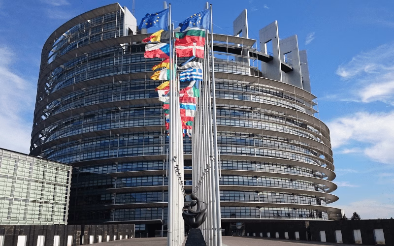 crescita unione europea e due diligence