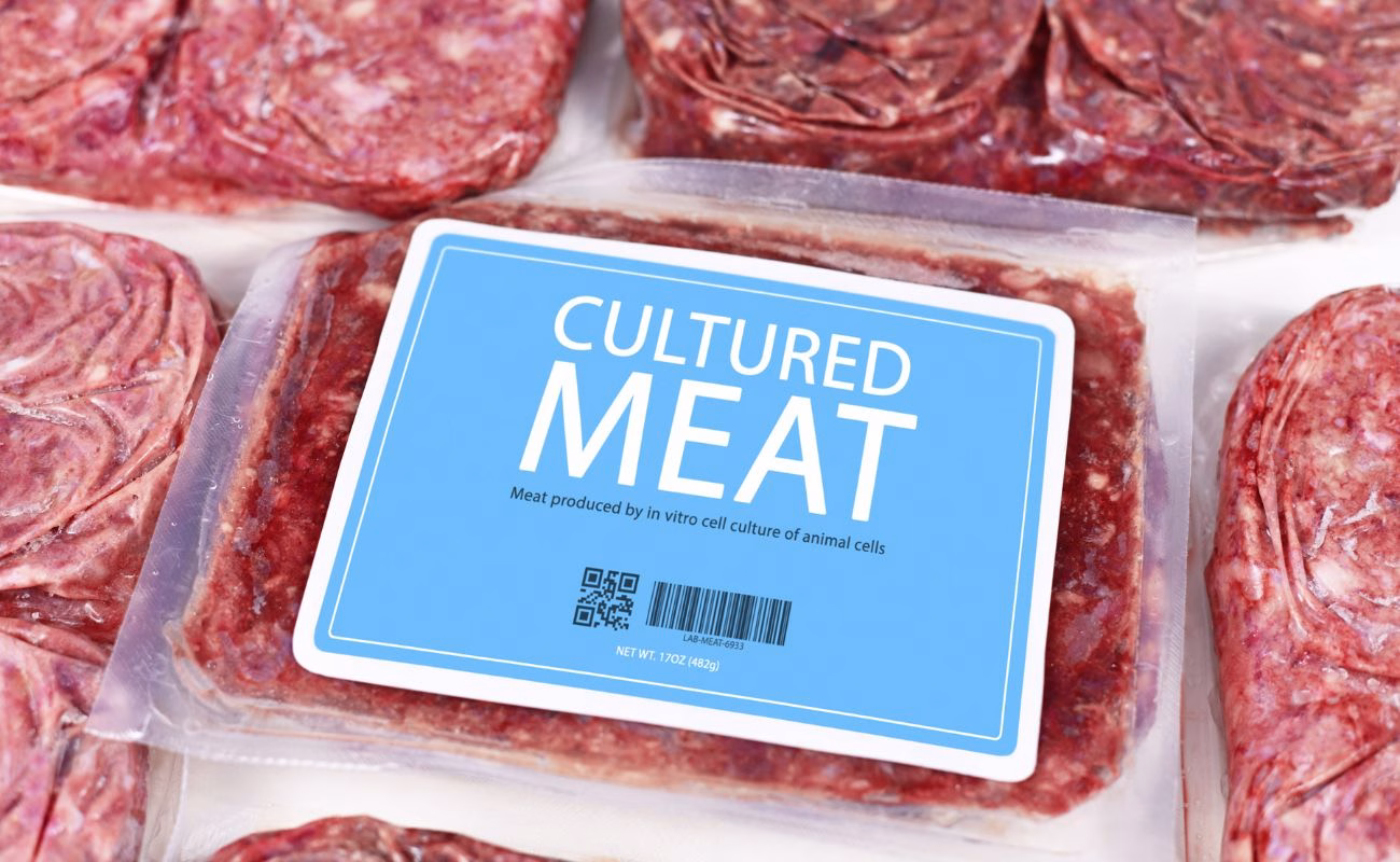 carne coltivata sintetica