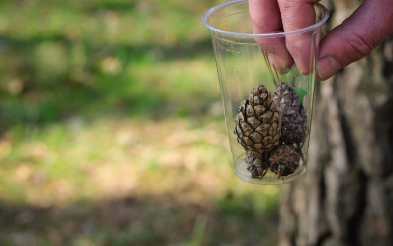 bioplastiche