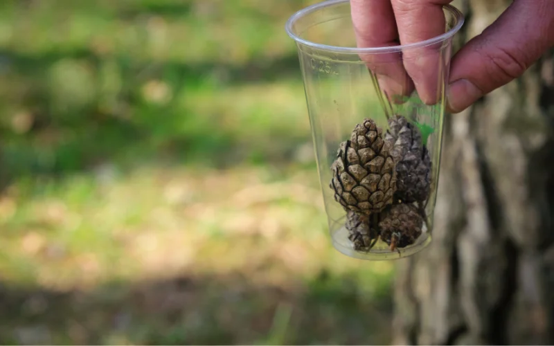 bioplastiche