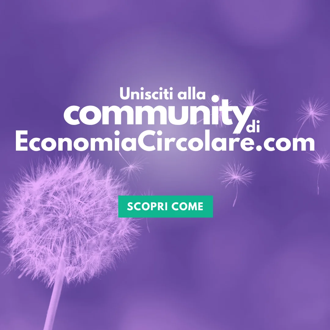 spot_img