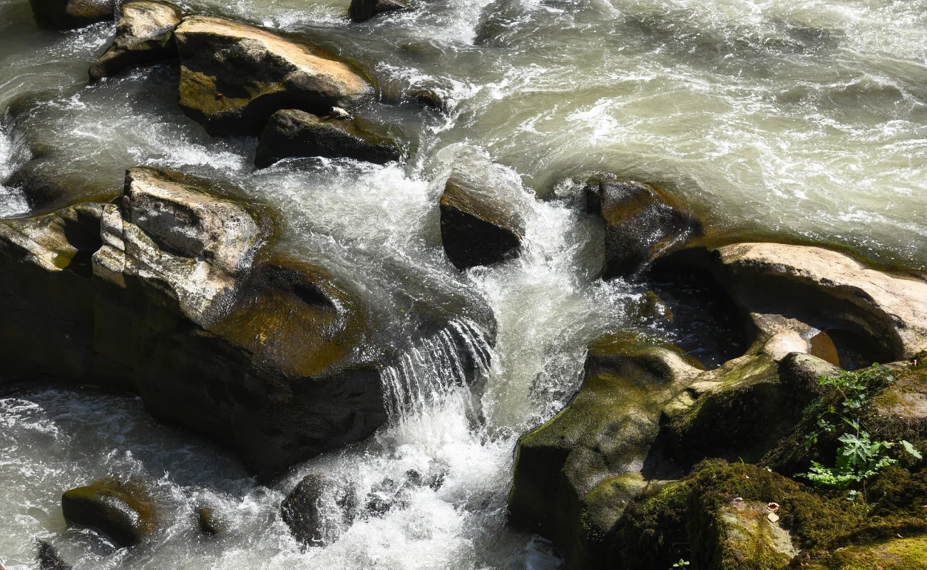 giornata mondiale acqua fiume