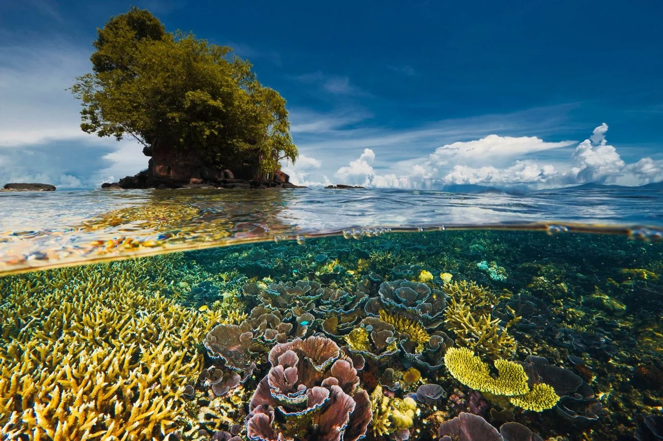 biodiversit&agrave;