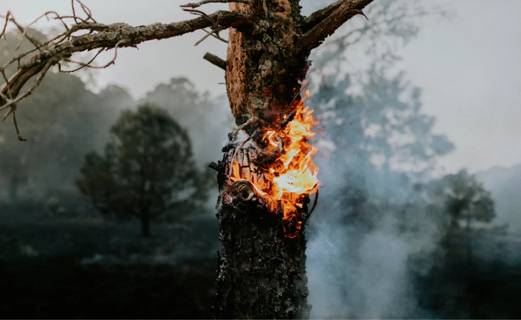 incendi copertina