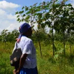 Eni ricino Kenya