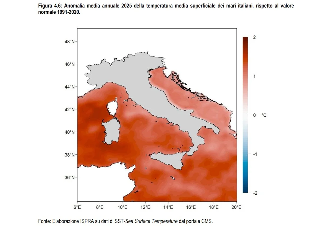 temperature mari caldi clima ISPRA SNPA copernicus
