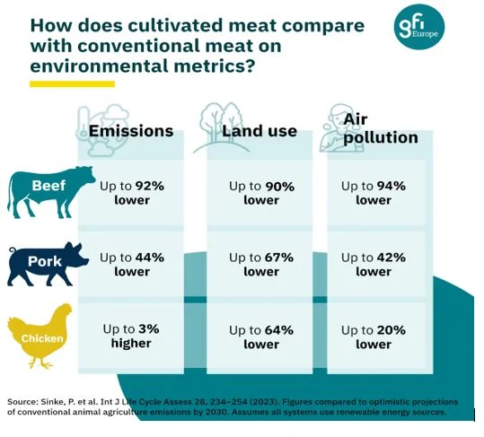 carne coltivata sintetica