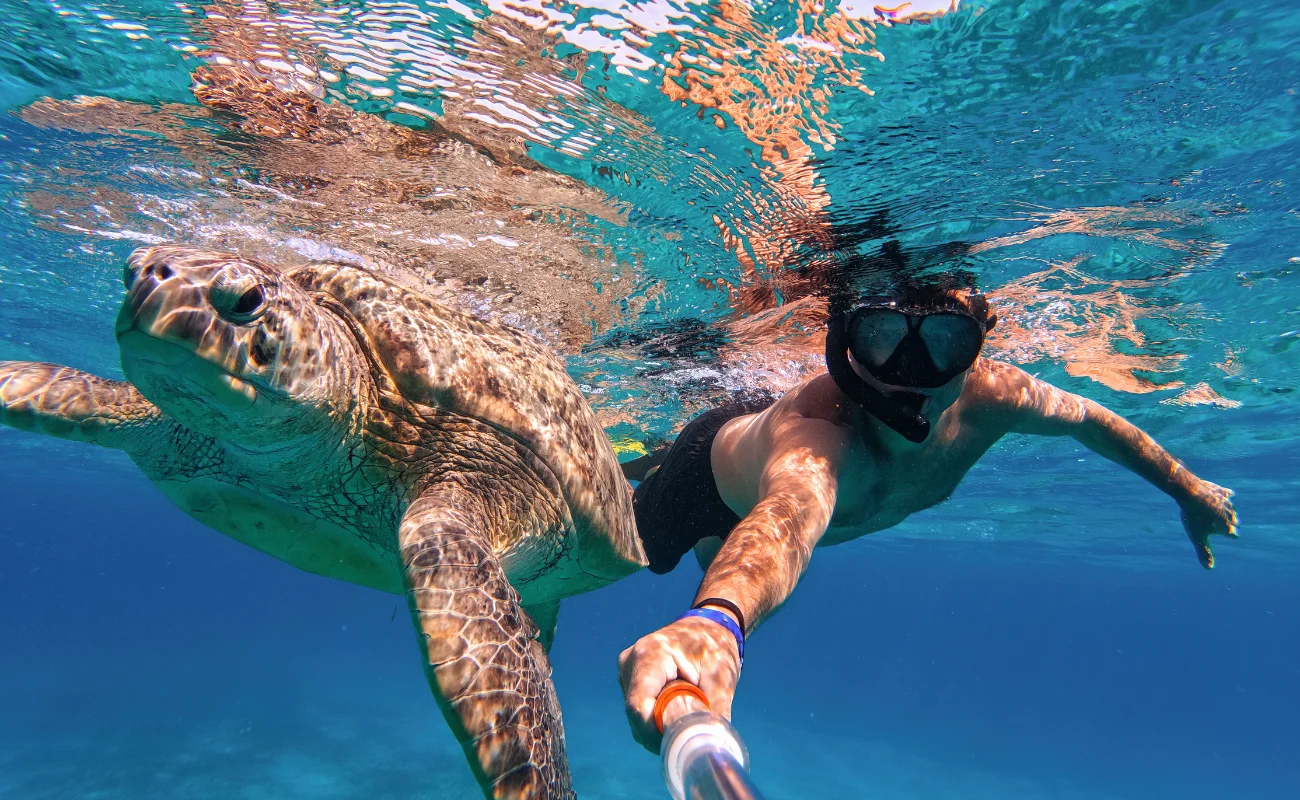 snorkeling 2
