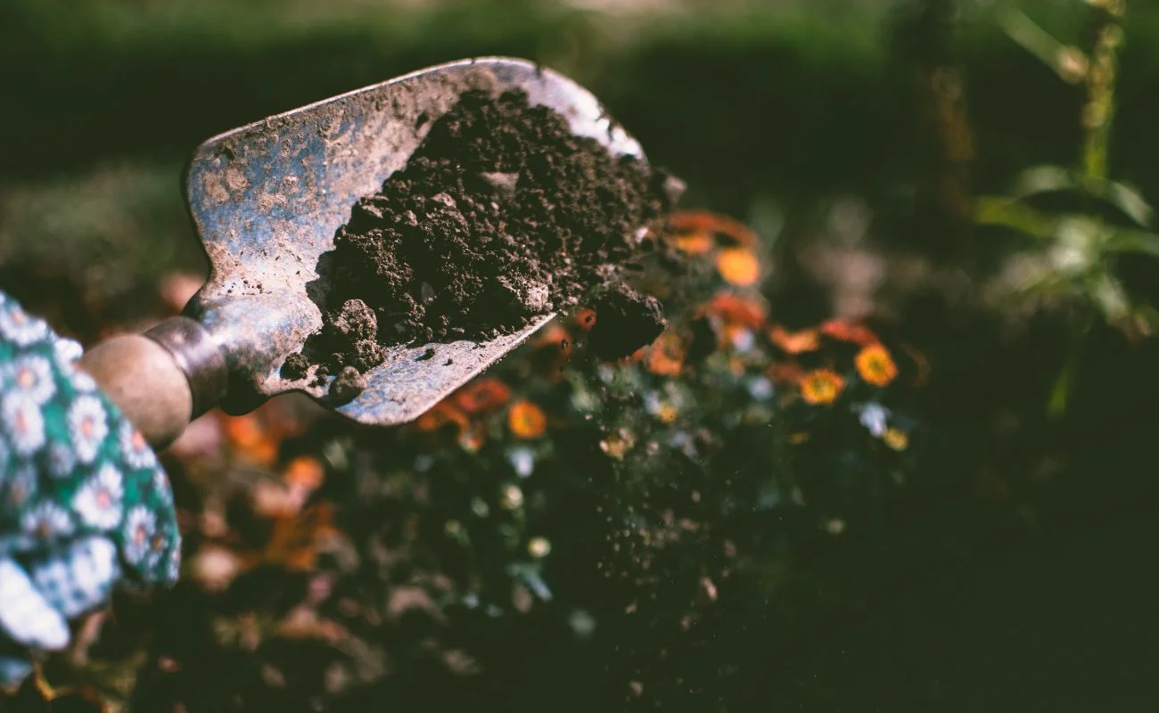 carbon farming digestato certificazione