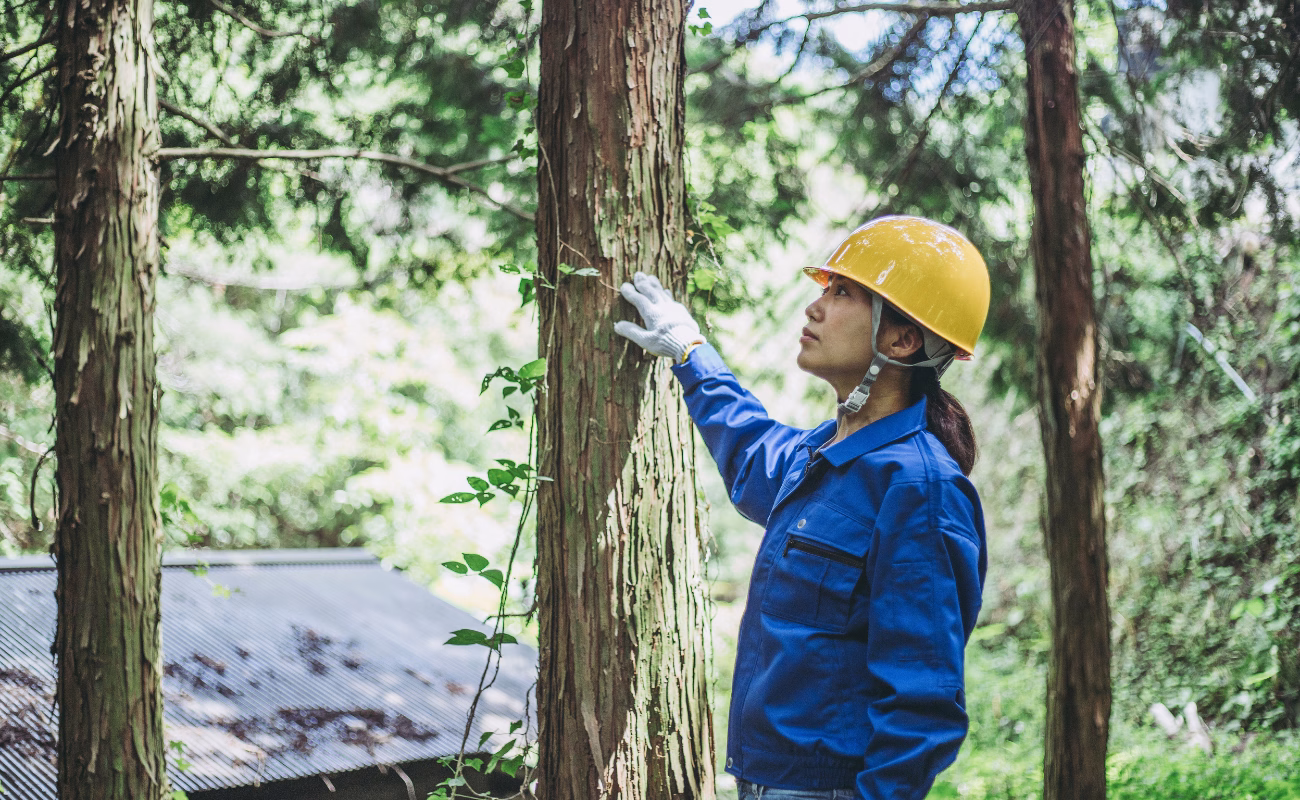 crisi climatica semplificazione di genere natura 