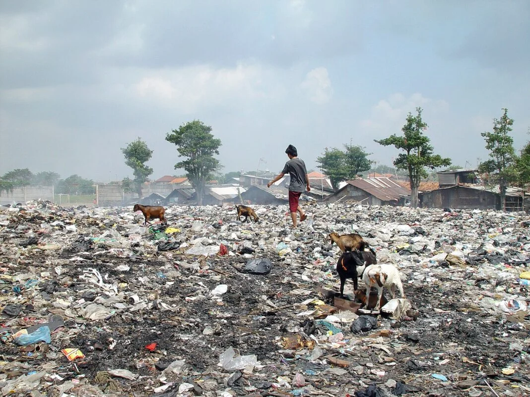 rifiuti waste pickers