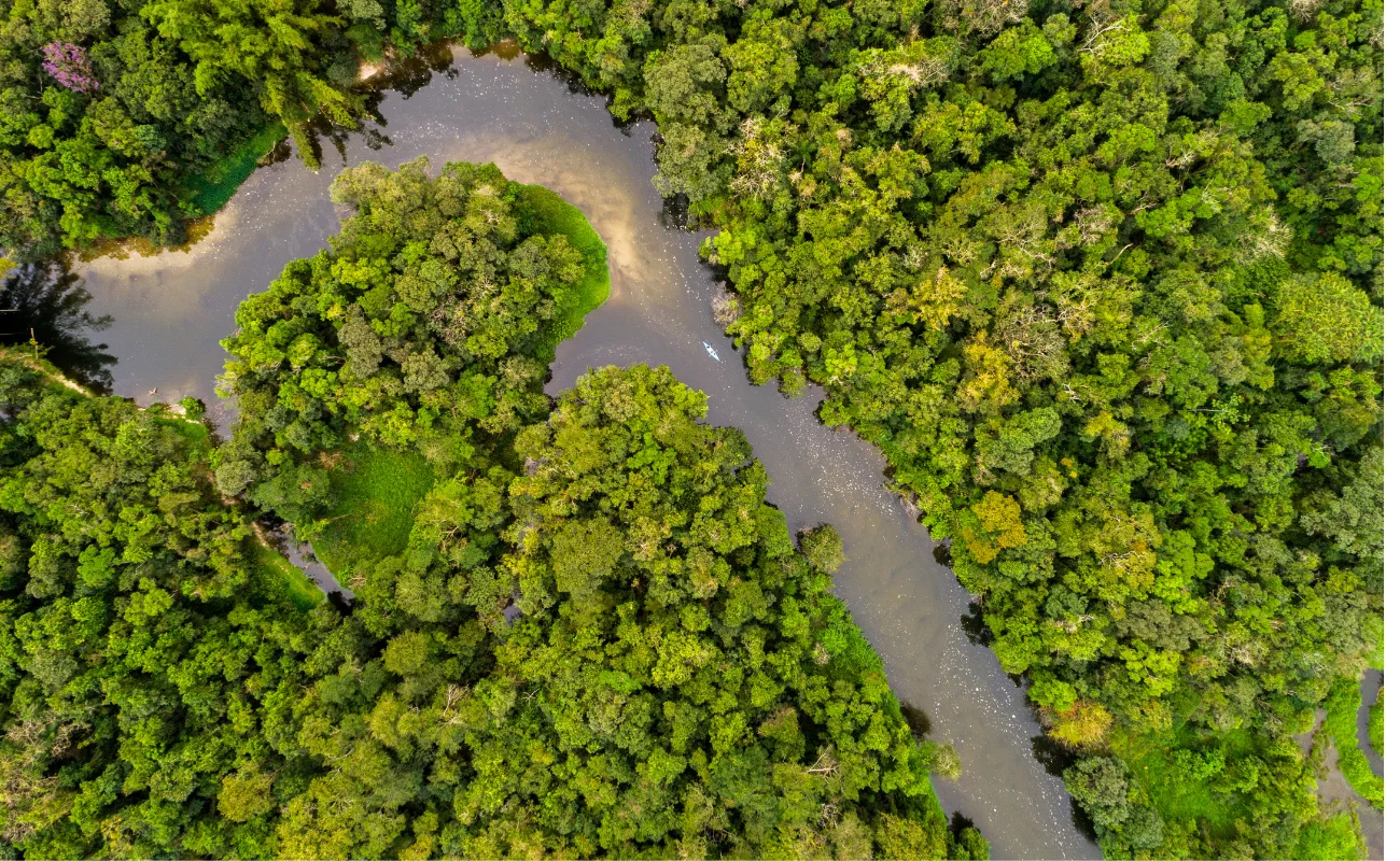 cop30 amazzonia 1