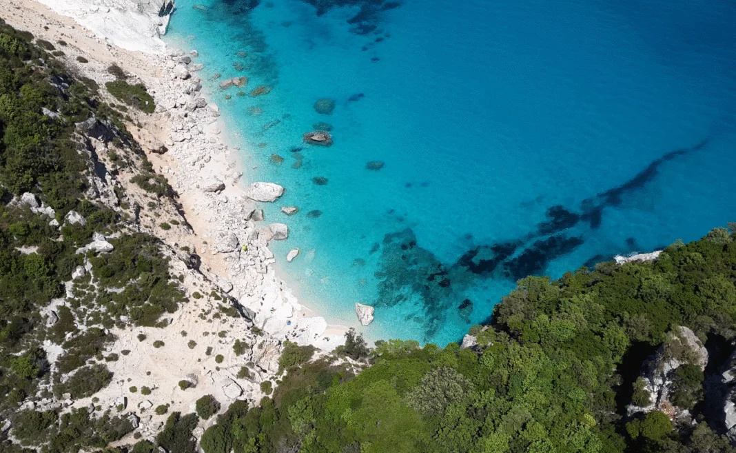 mediterraneo