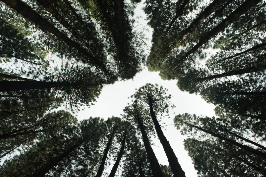 biodiversità