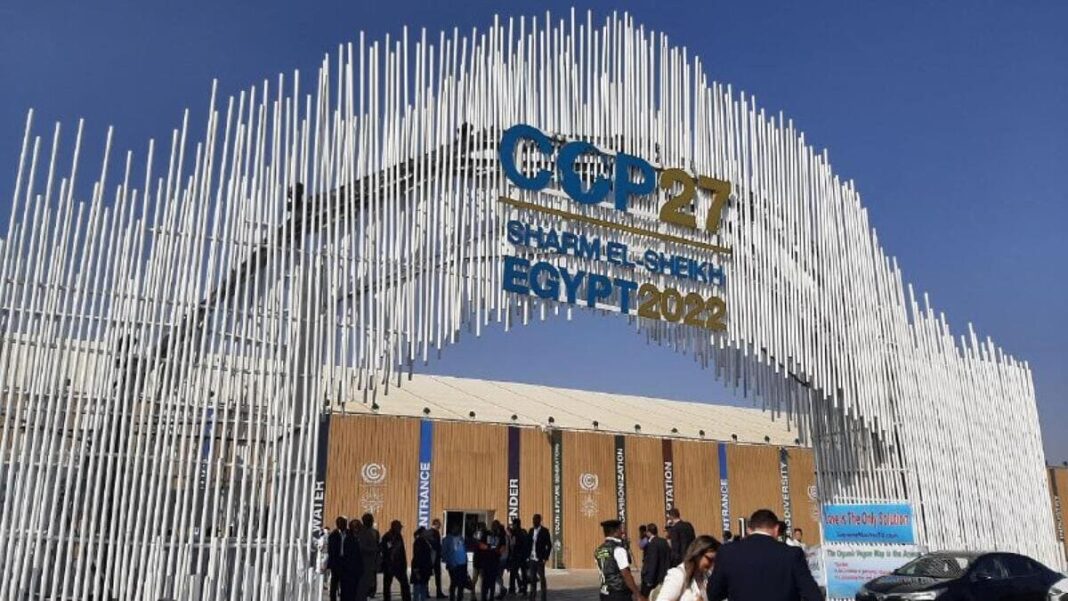 cop27