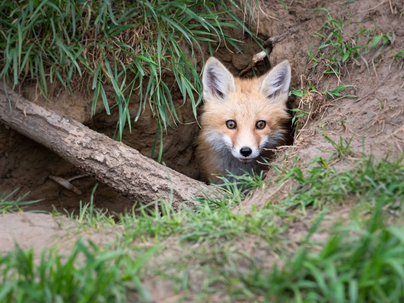 giornata biodiversità