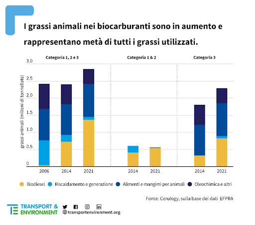 biocarburanti grassi animali