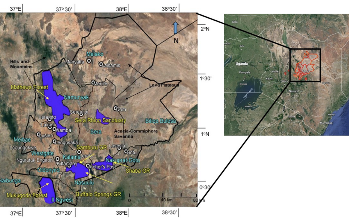 progetto Northern Kenya Grassland Carbon Project