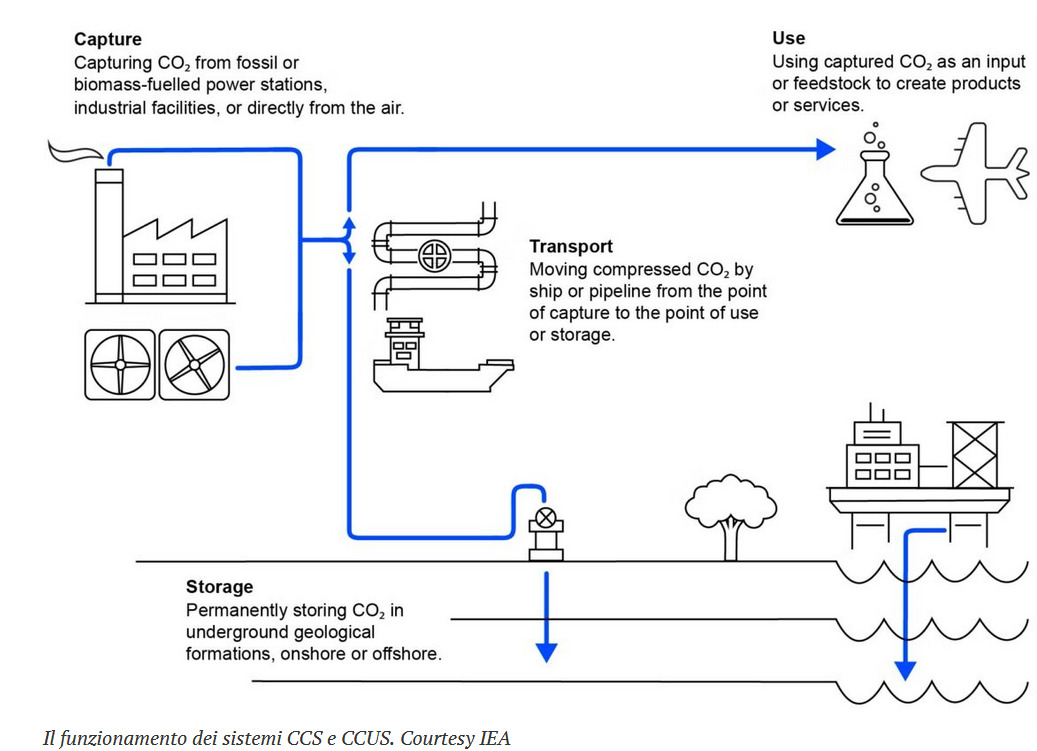 schema ccs