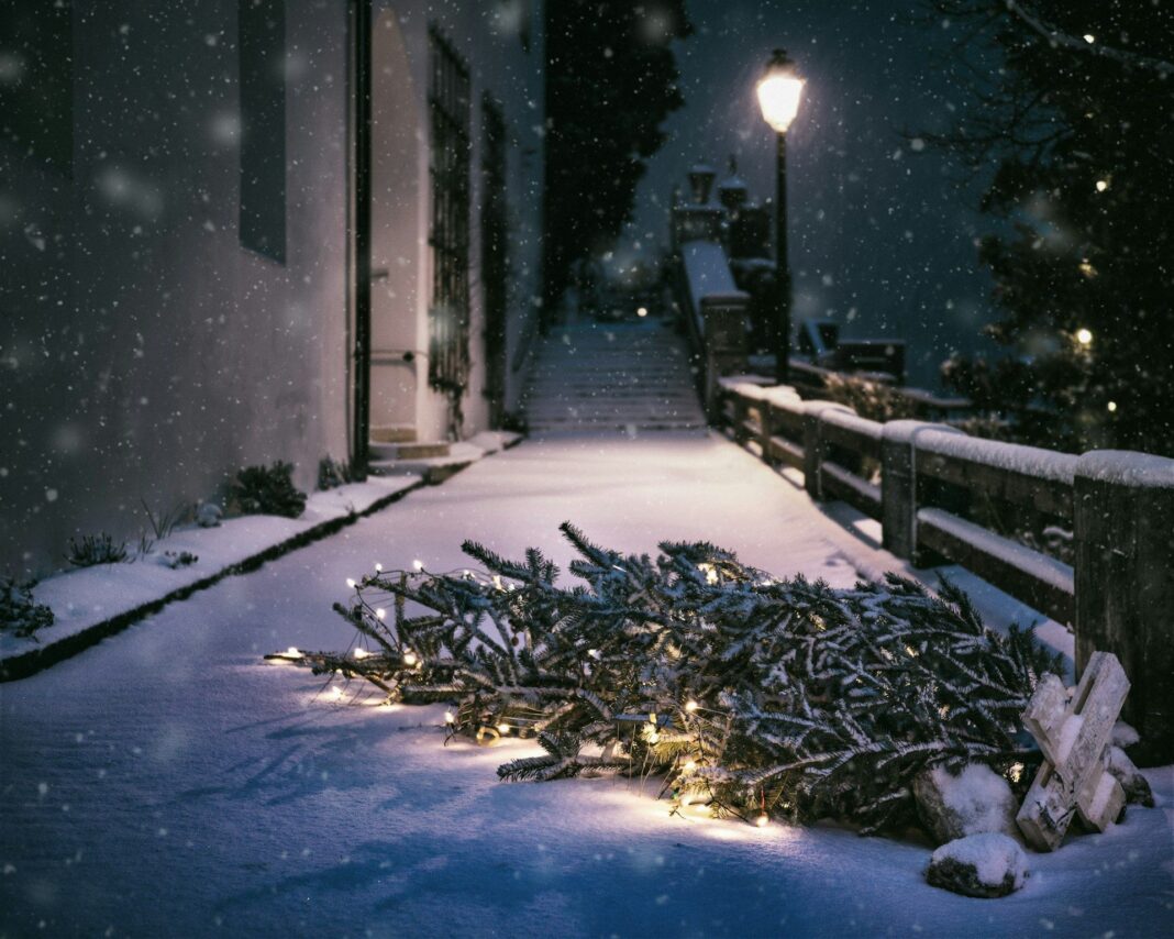 Dove buttare albero di Natale e pezzi di presepe