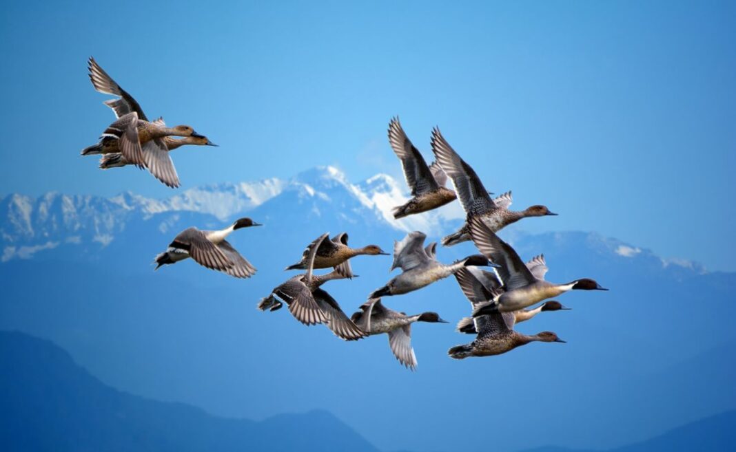 biodiversità clima