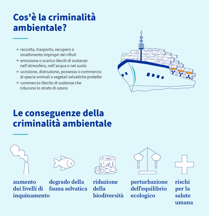 criminalità ambientale consiglio