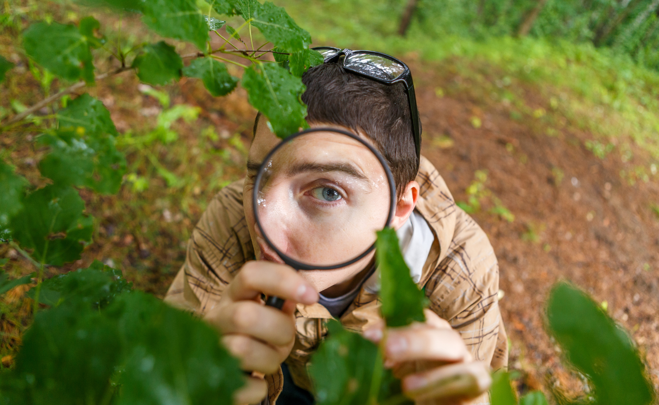 bilancio di sostenibilit&agrave;