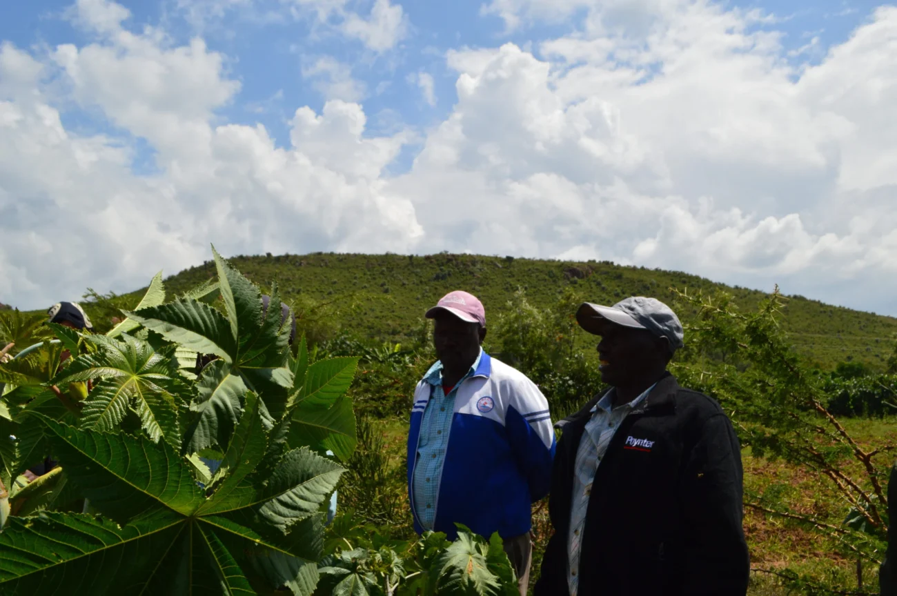 eni biocarburanti kenya