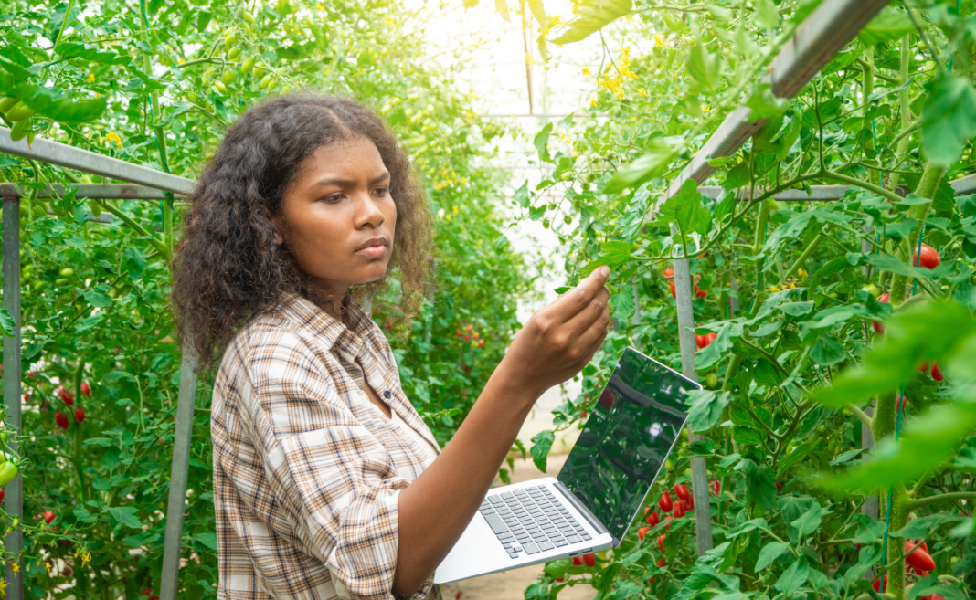 insicurezza alimentare donne