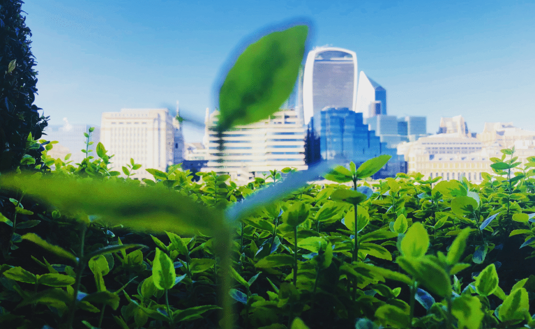 Ocse città circolari e ambiente costruito