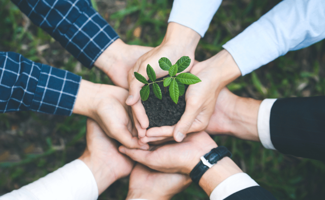 Coopetizione ed economia circolare