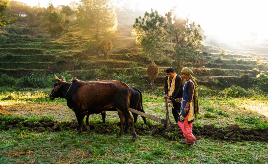 Undp report finanza sostenibile