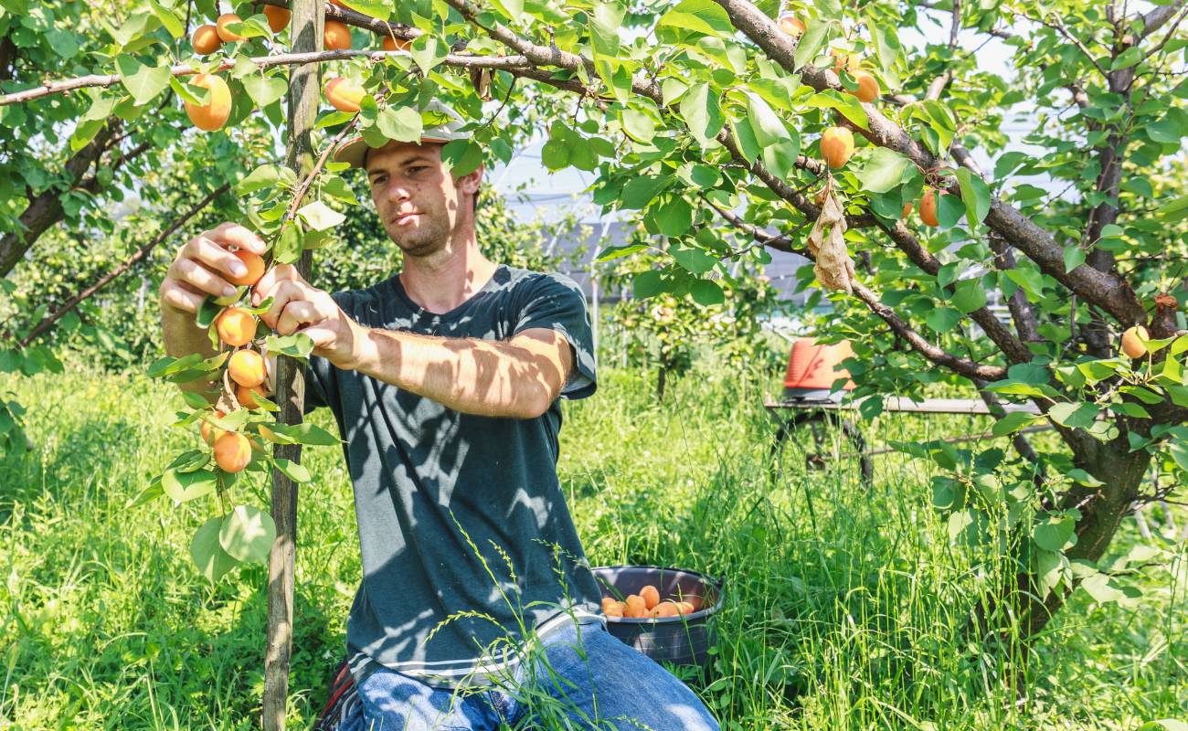 orto sociale CSR economia circolare