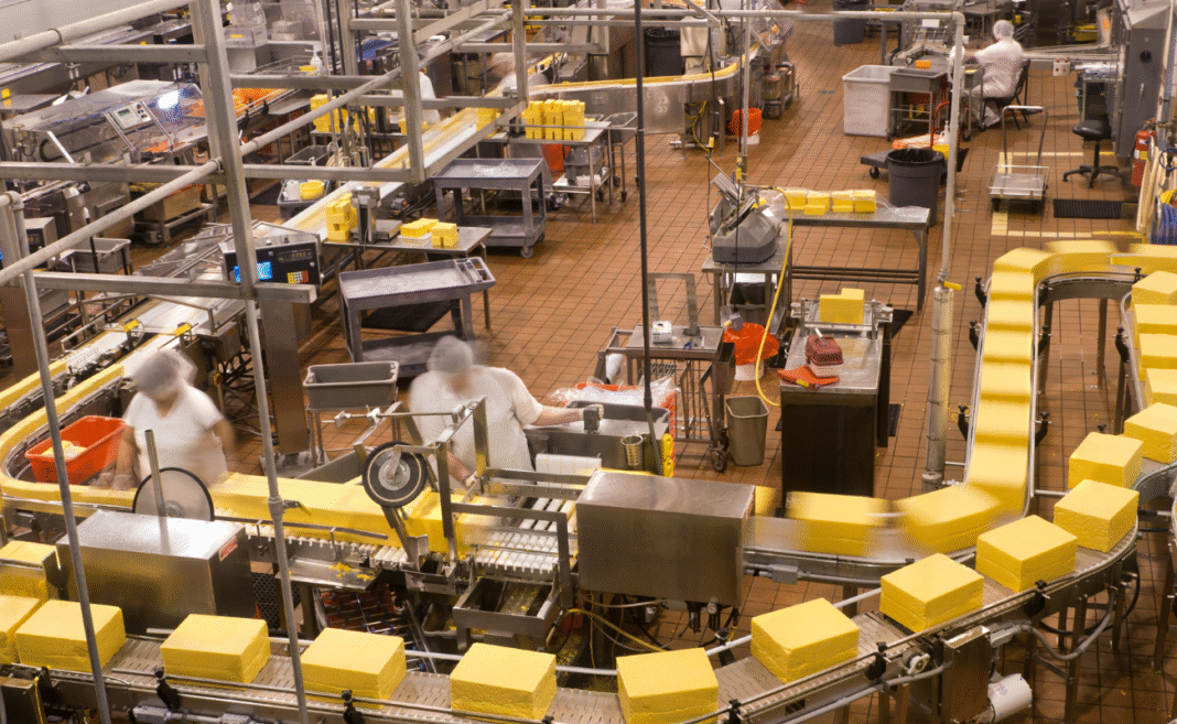 Intelligenza artificiale e sprechi alimentari