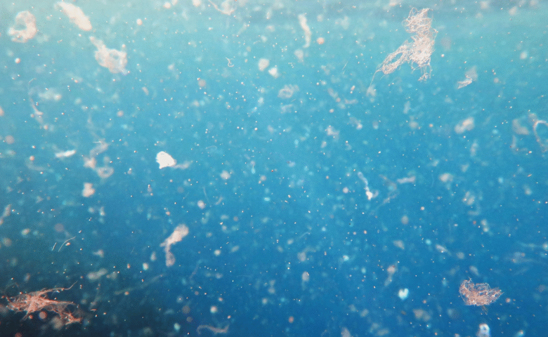 Plastica solubile in acqua