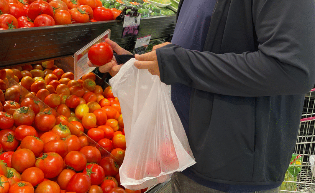 bioplastiche copertina