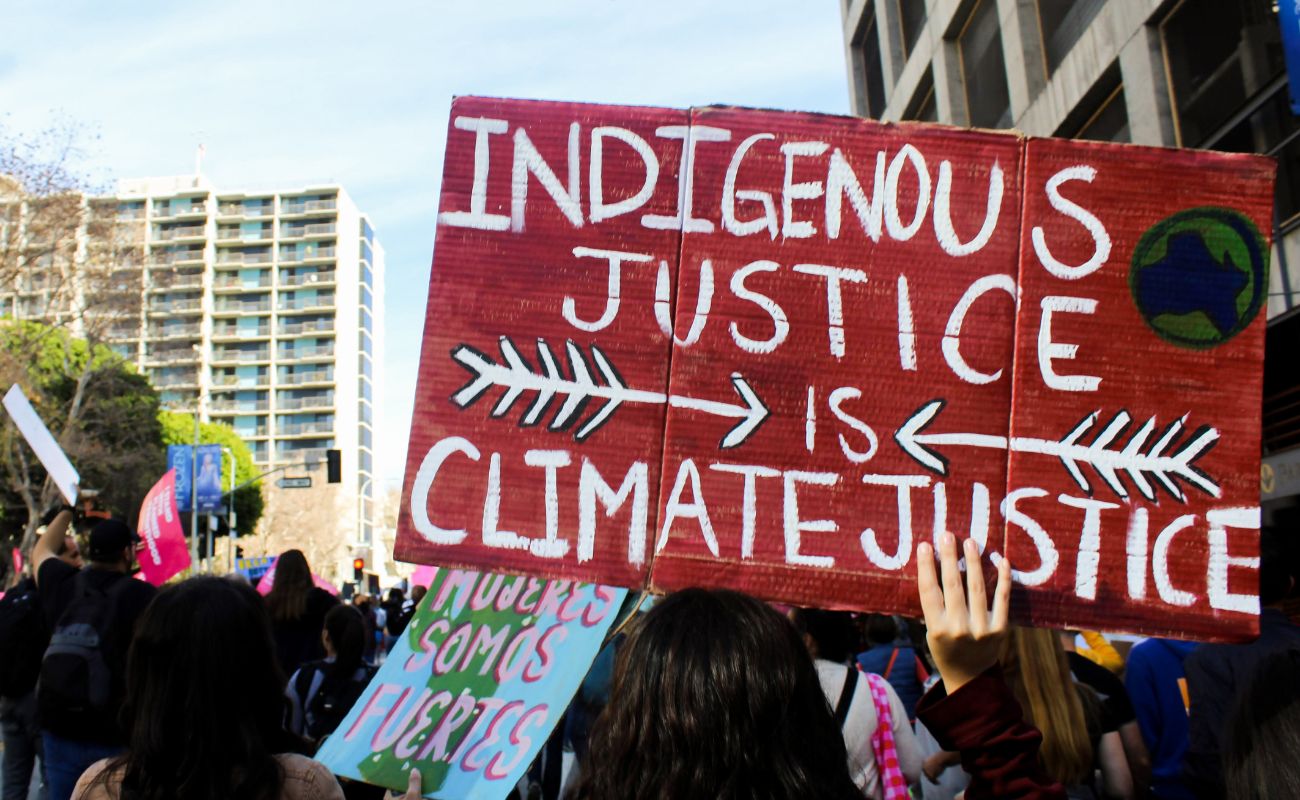 CRM critical raw materials indigeni