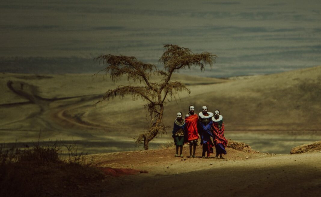 CRM critical raw materials indigeni