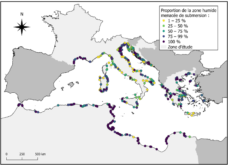 Ispra acque mediterraneo