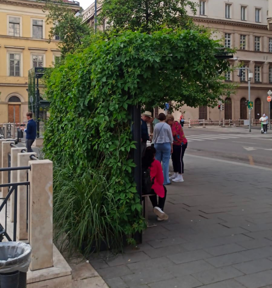 isole calore urbano caldo