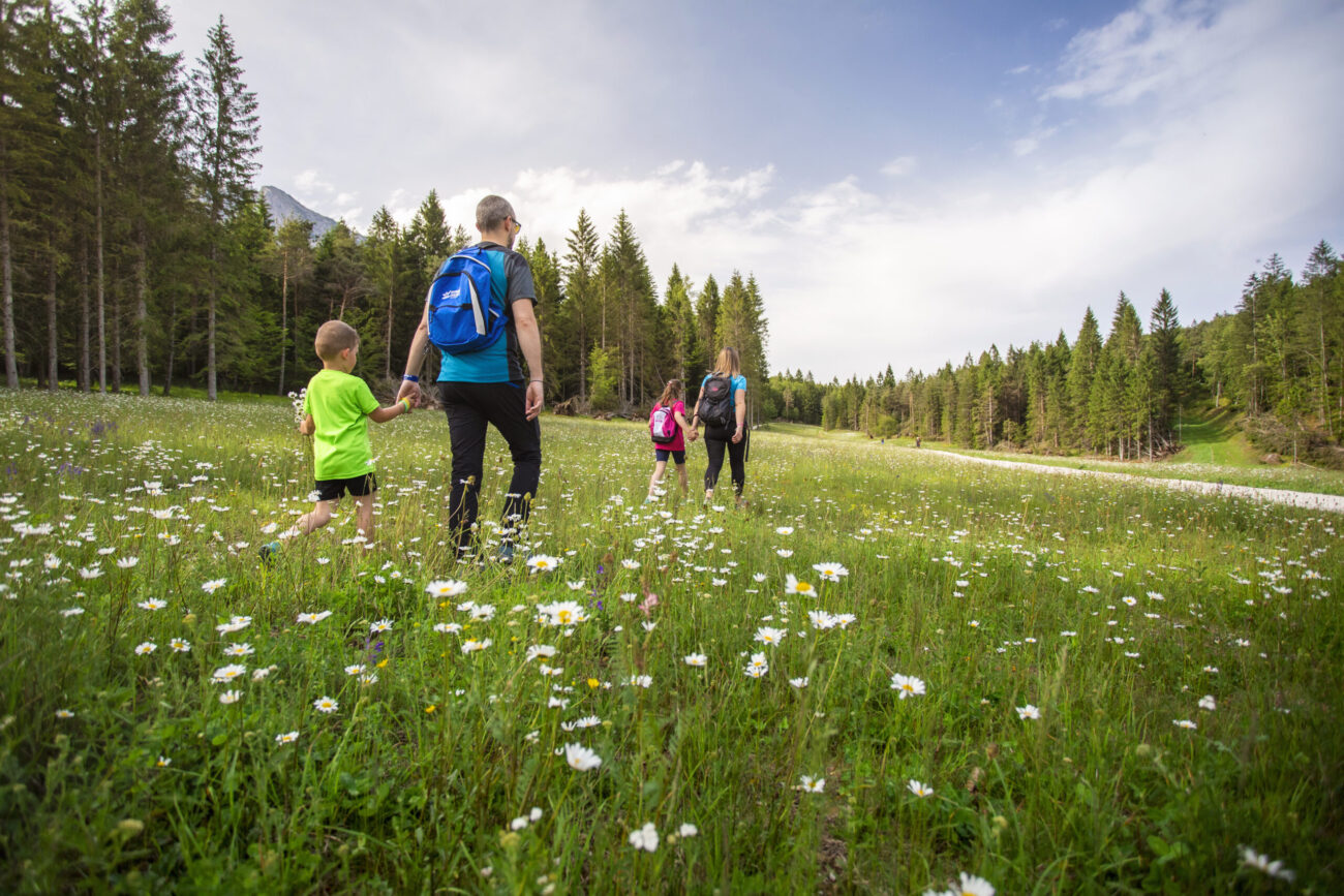 eventi settembre sostenibilità