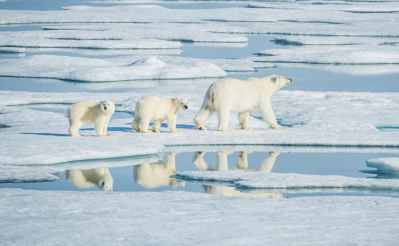 artico ghiaccio clima