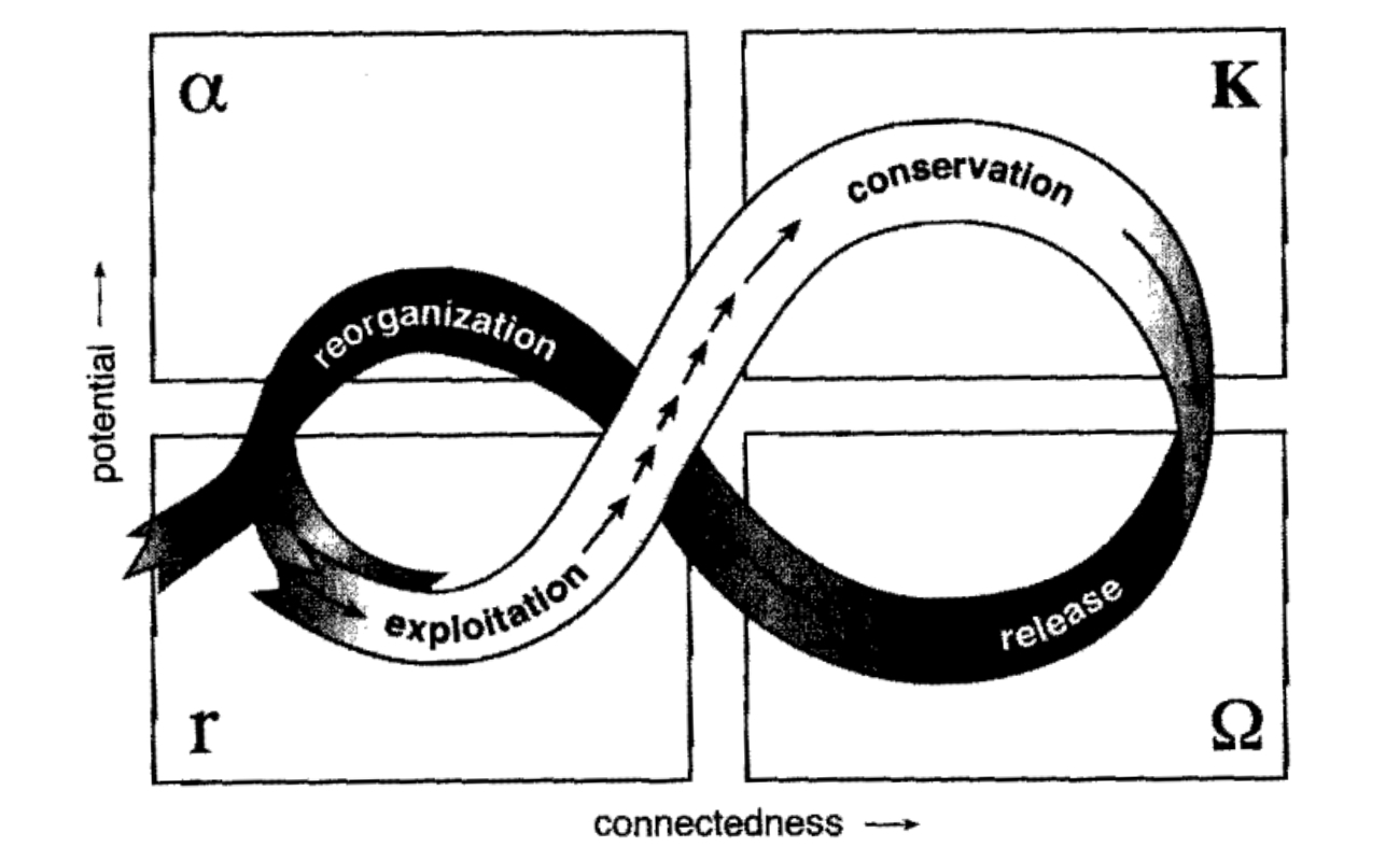 capitalismo - ciclo adattivo